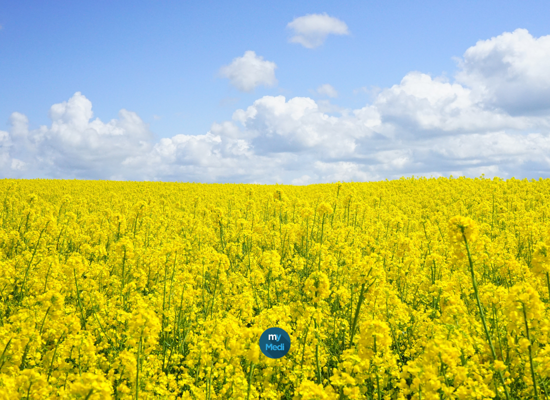 L'arrivée du printemps et des pollens, utilisez un purificateur d'air