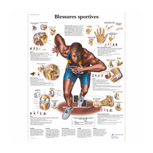 Planche anatomique - Blessures sportives - 3B Scientific